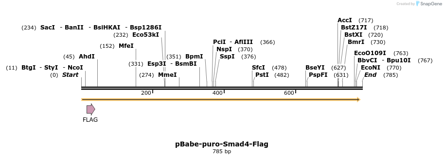 59716_map