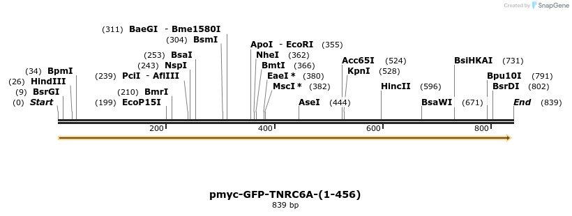 59717_map