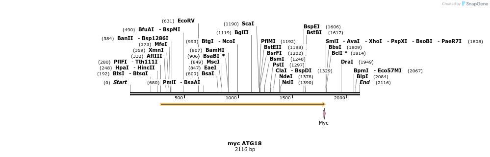 59718_map