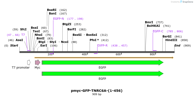 59720_map