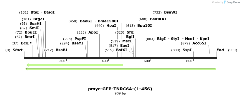 59721_map