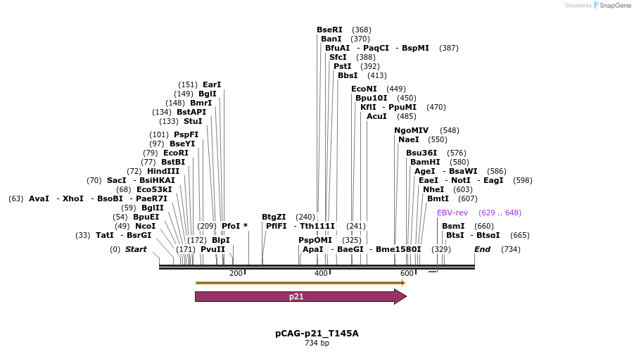 59722_map