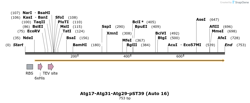 59726_map