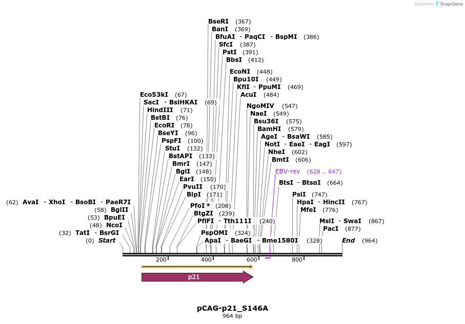 59728_map