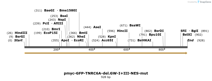 59733_map