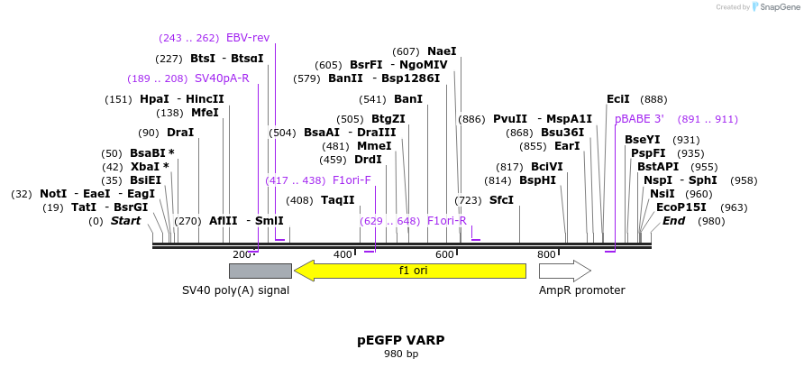 59734_map
