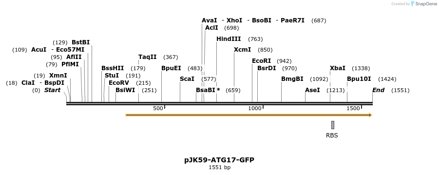 59737_map