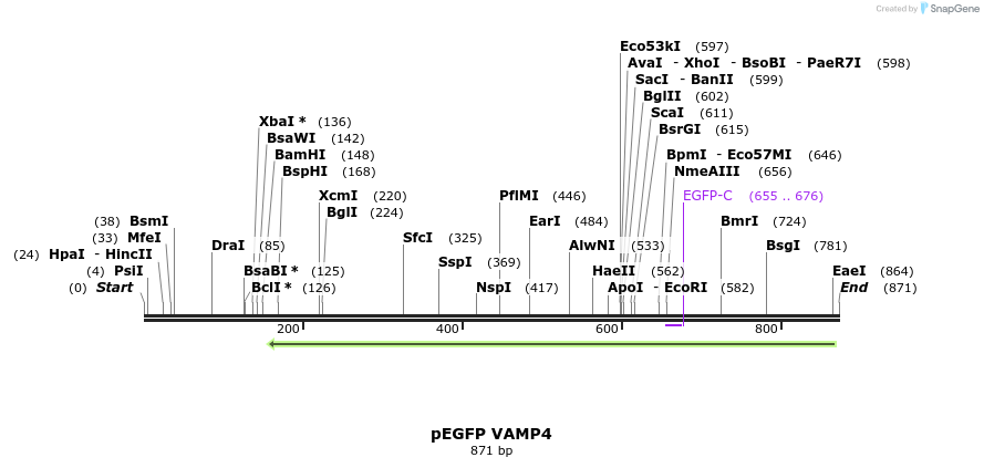 59740_map