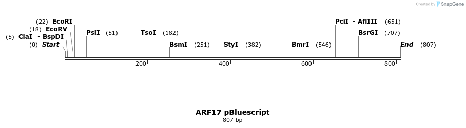 59741_map