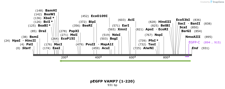 59742_map