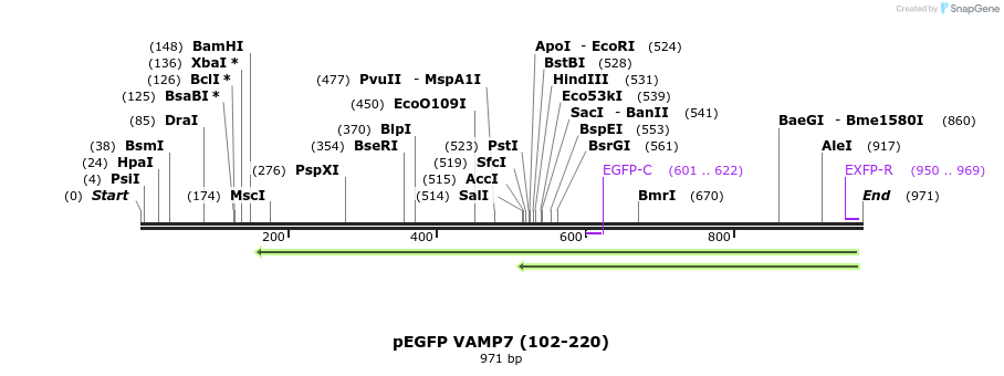 59743_map