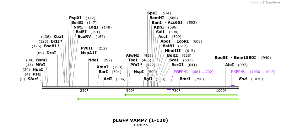 59744_map