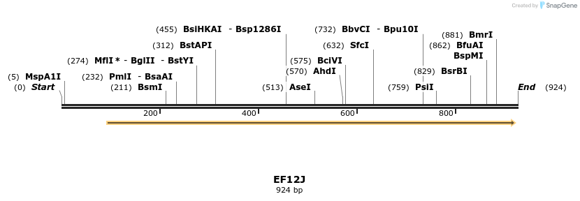 59745_map