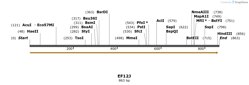 59746_map