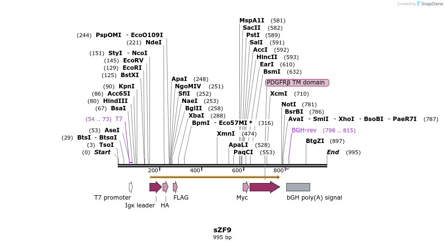 59764_map
