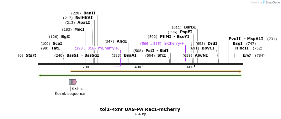 59776_map