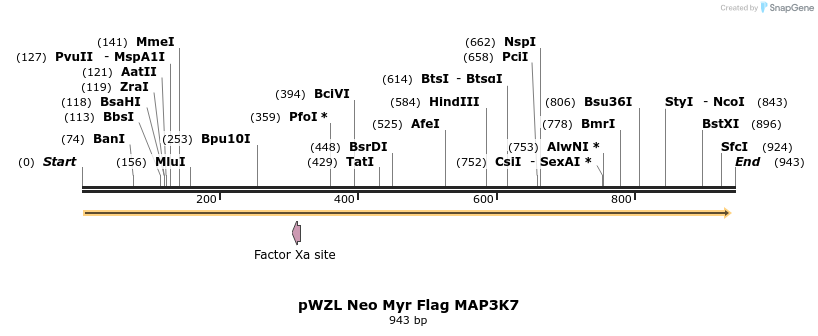 59780_map