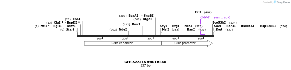 59782_map