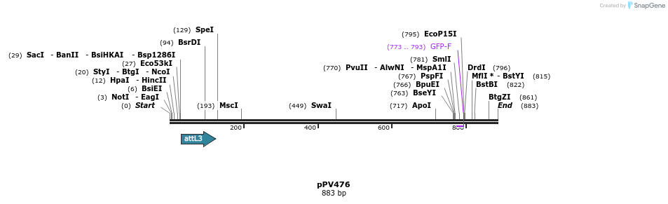 59791_map