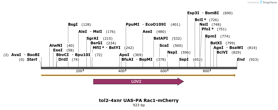 59796_map