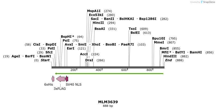 59803_map