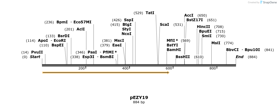 59810_map