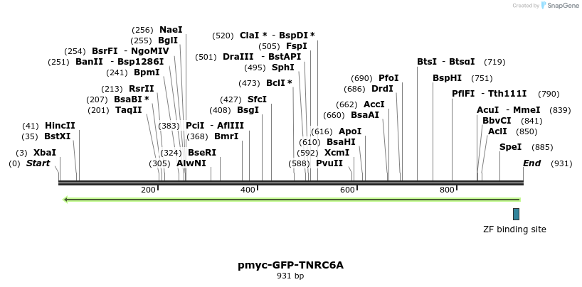 59815_map
