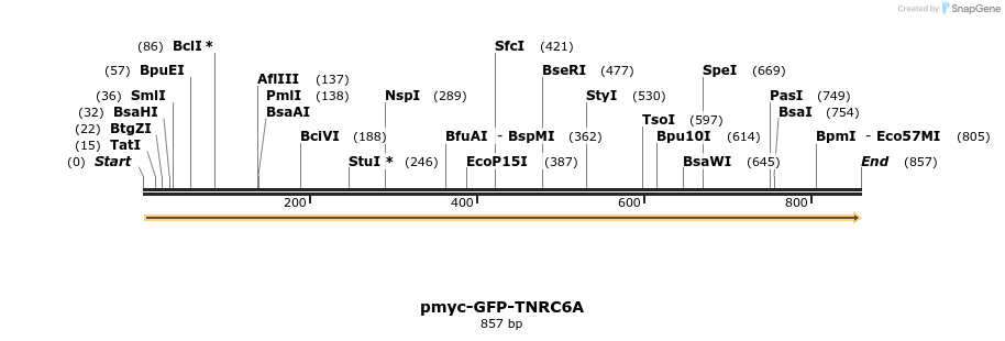 59816_map