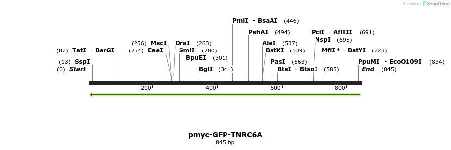 59817_map