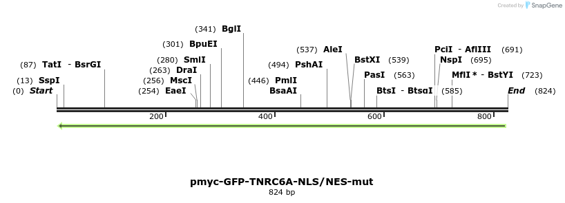 59822_map