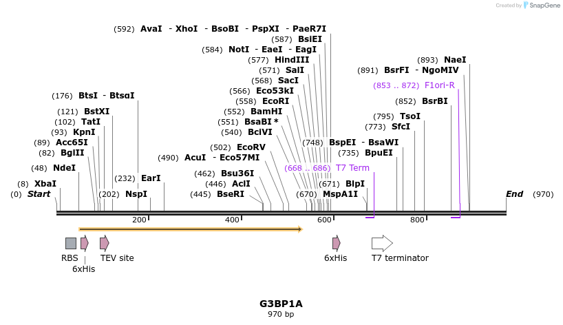 59826_map