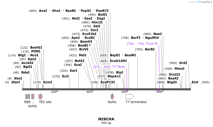 59829_map
