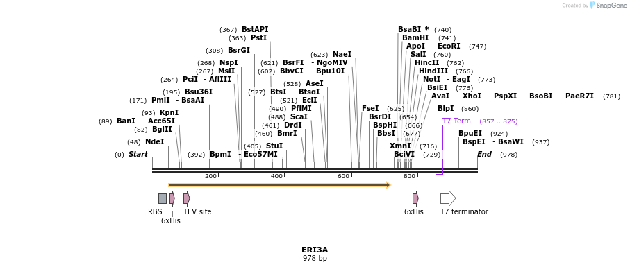 59831_map