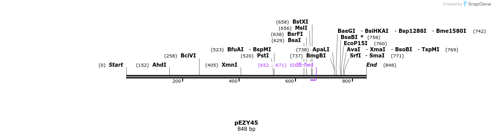 59842_map