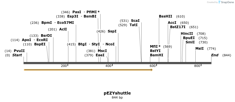 59847_map