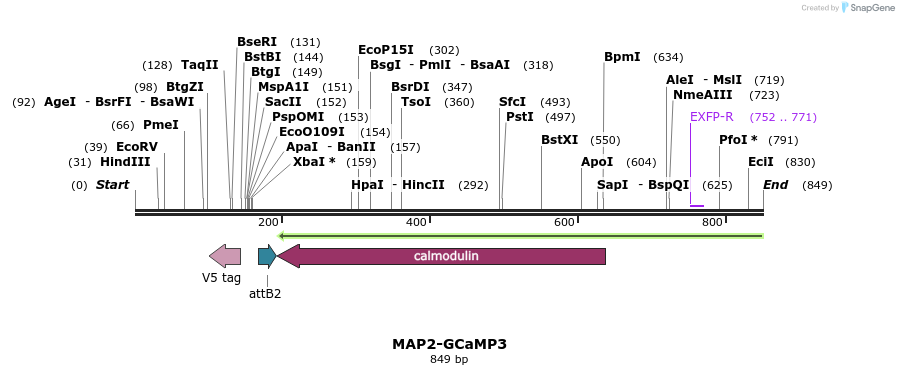 59849_map