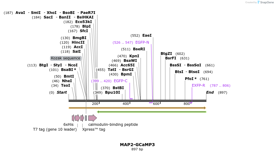59859_map
