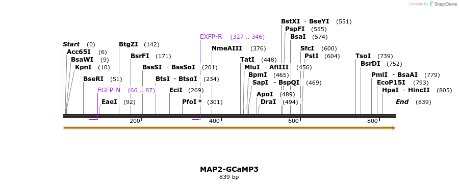 59862_map