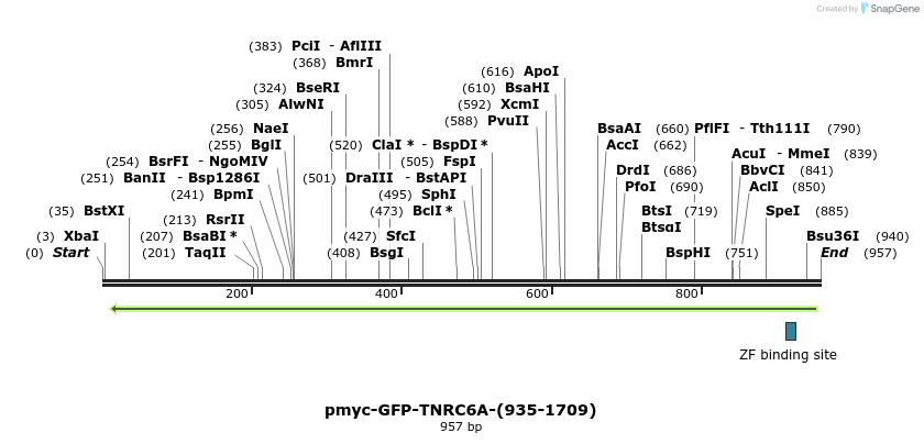 59863_map