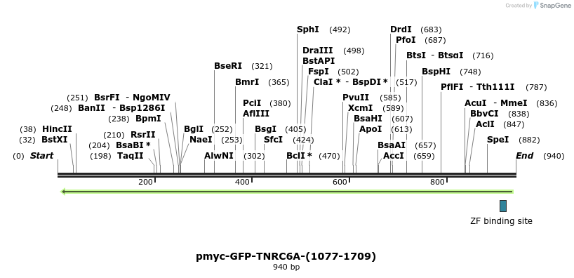 59873_map