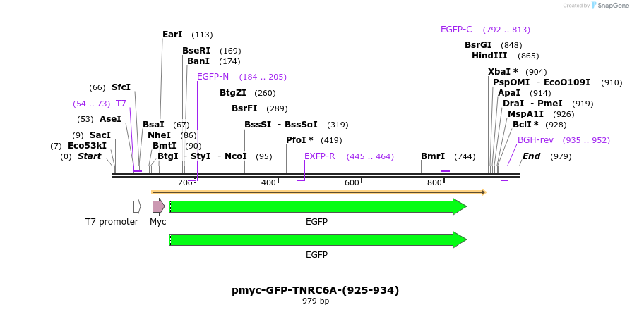 59875_map