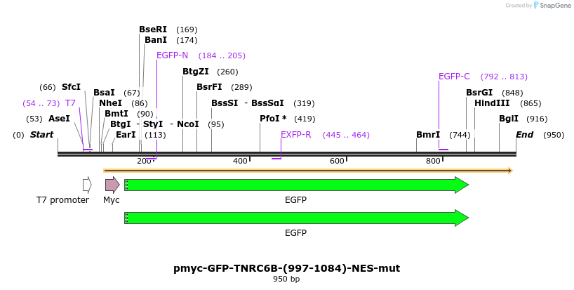 59885_map