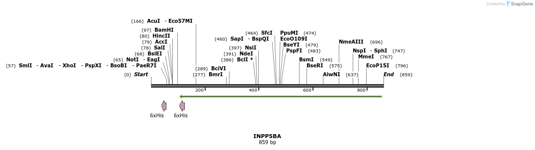 59888_map