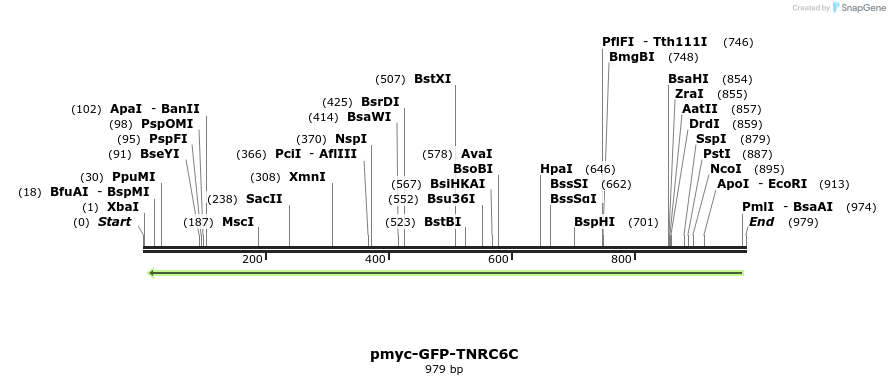 59890_map