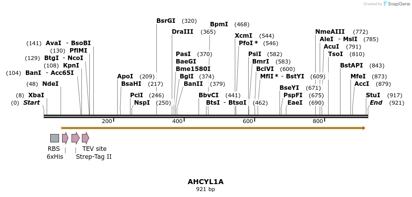 59892_map