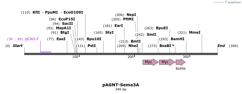 59895_map