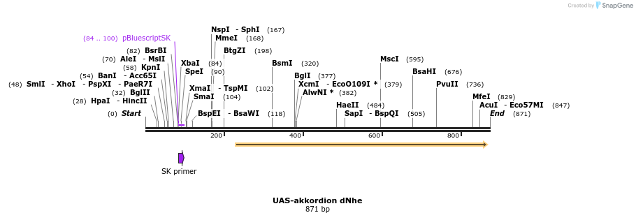 59896_map
