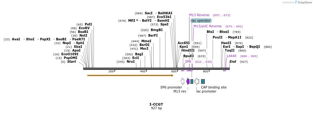 59898_map