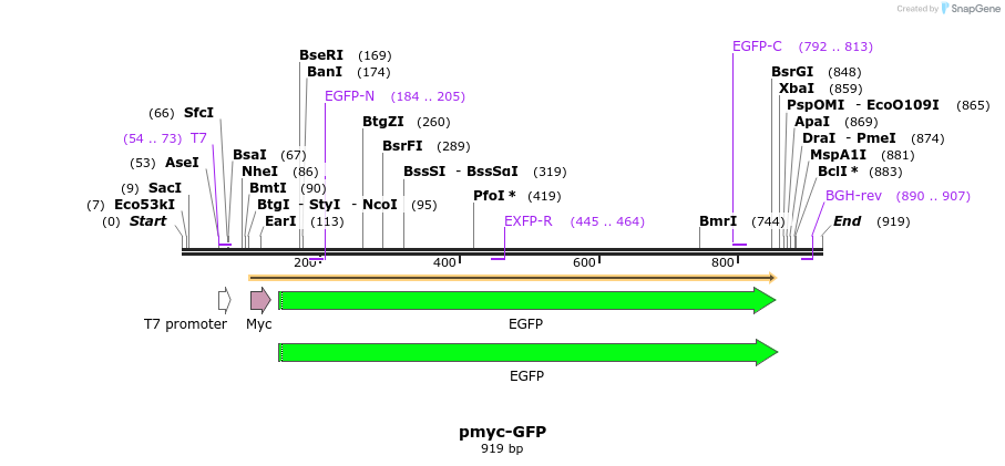 59900_map