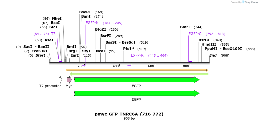 59901_map